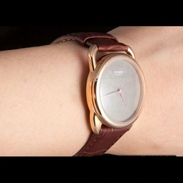 Hermes Classic Croco Leather Strap Silver Dial new59402