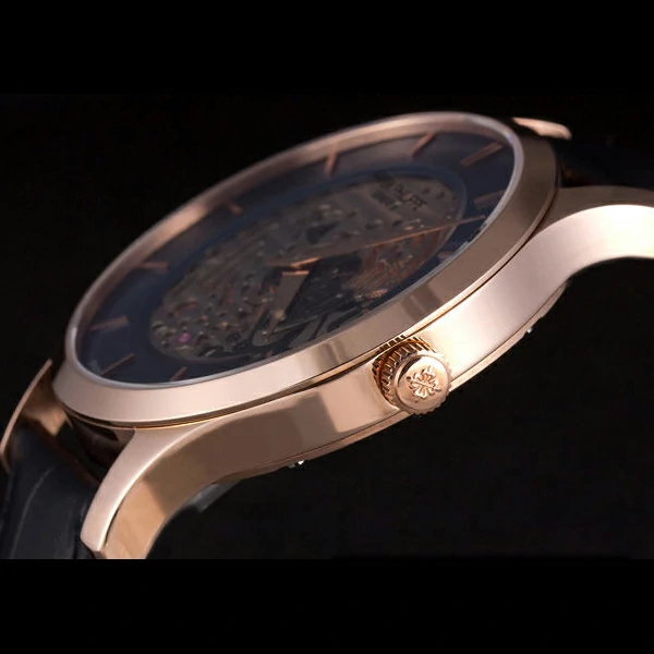 Patek Philippe Complications new59470